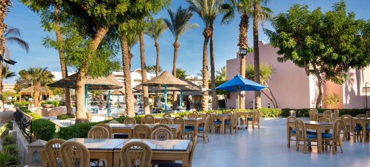 沙姆沙伊赫塞拉酒店(Sierra Sharm El Sheikh)图片