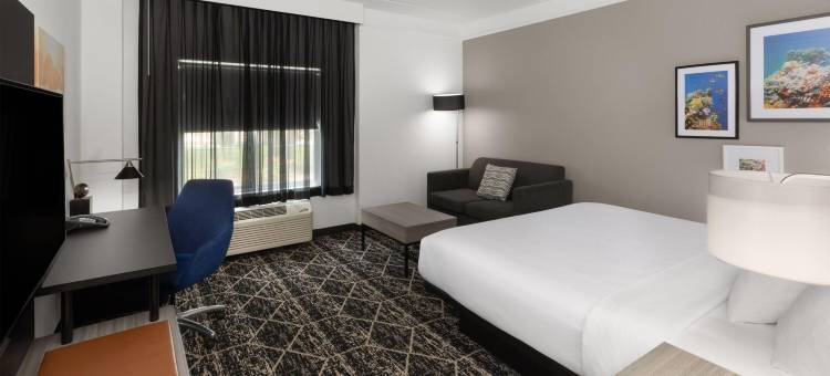 休斯顿布什IAH南拉昆塔温德姆套房酒店(La Quinta Inn & Suites by Wyndham Houston Bush IAH South)图片