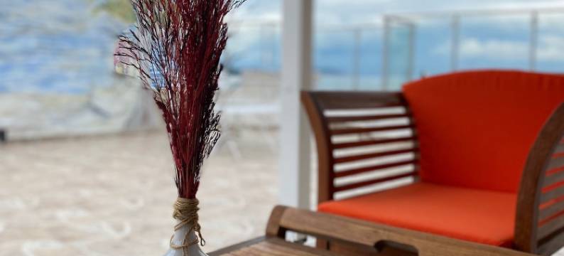 布尤卡达公主酒店(Buyukada Princess Hotel)图片