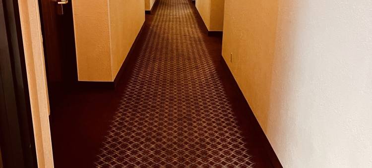 道奇城速8酒店(Super 8 by Wyndham Dodge City)图片