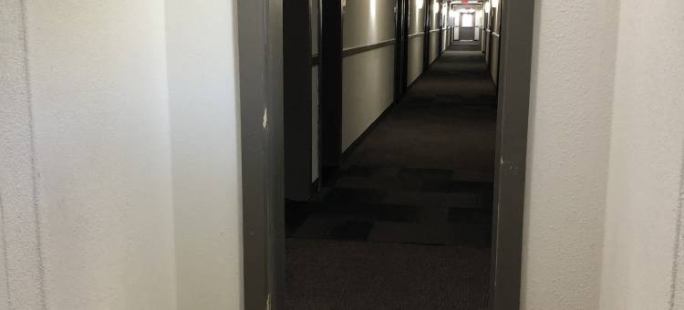 印第安纳波利斯 6 号开放式公寓酒店 - 印第安纳(Studio 6 Indianapolis, IN)图片