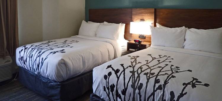 加利福尼亚州MD睡眠套房酒店(Sleep Inn & Suites California MD)图片