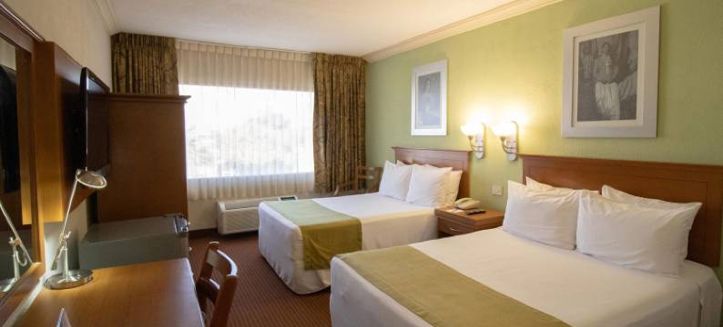阿拉扎埃莫西约酒店(Hotel Araiza Hermosillo)图片