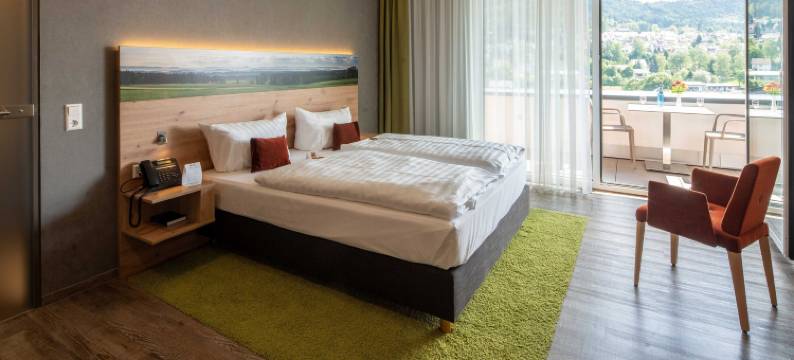 韦欣根城堡酒店(Hotel Schlossberg Wehingen)图片