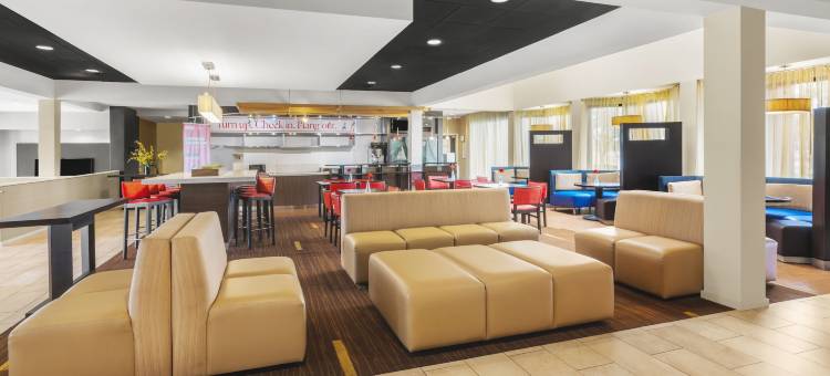 达拉斯爱田机场温德姆速 8 酒店(Super 8 by Wyndham Dallas Love Field Airport)图片