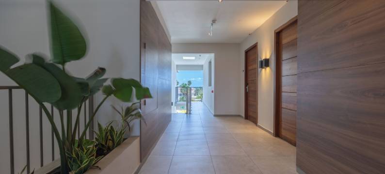 库拉索海豚养生套房(Dolphin Suites & Wellness Curacao)图片