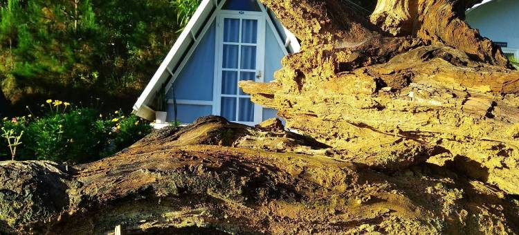 雪化洪波平房酒店(Tuyet Hoa Hon Bo Bungalow)图片