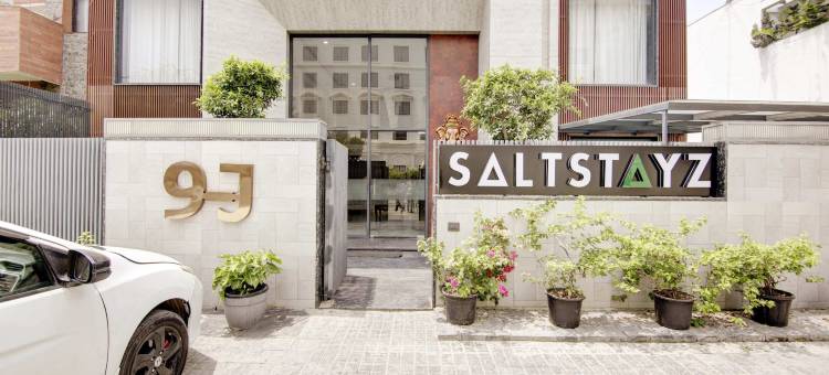 Saltstayz Premier – 网络中心(Saltstayz Premier - Cyber Hub)图片