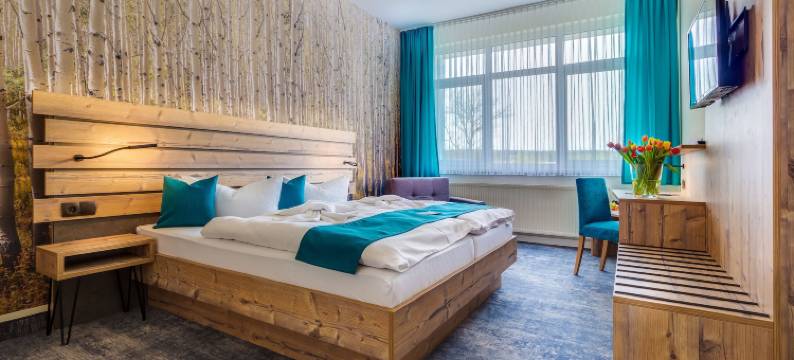 哈兹山全景度假酒店(Panorama Ferien Hotel Harz)图片