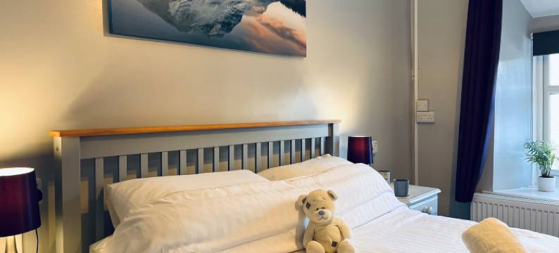 湖景酒店(The Lake View Hotel)图片