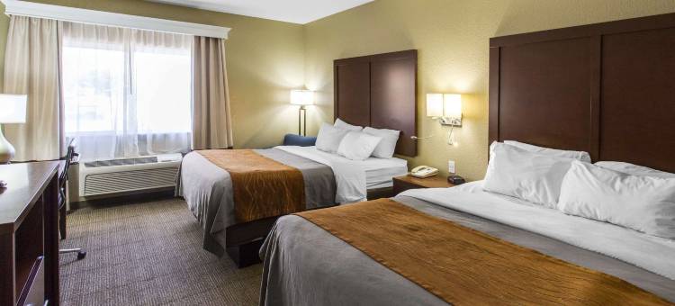 舒适套房酒店(Comfort Inn & Suites)图片