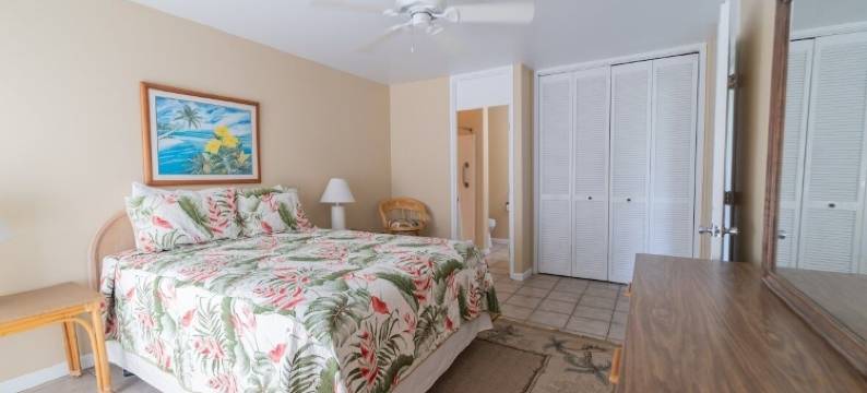 海龟湾胡拉之家便宜 Nuc 90-tvu-0566 1 居共管公寓 - 雷艾温(Turtle Bay Hula House Budget Nuc 90-Tvu-0566 1 Bedroom Condo by RedAwning)图片