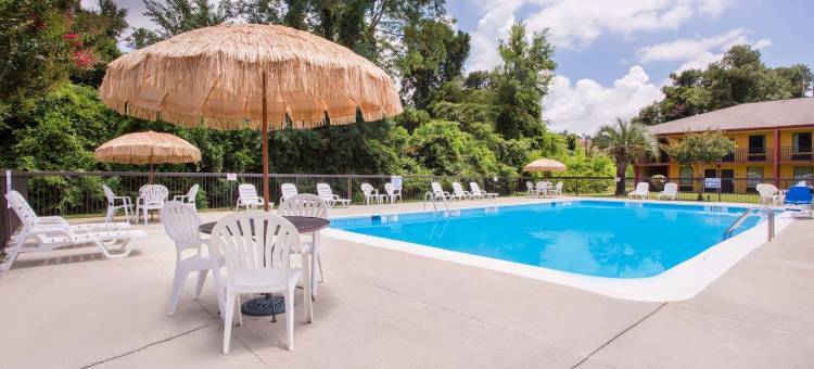 艾肯骑士酒店(Knights Inn Aiken)图片