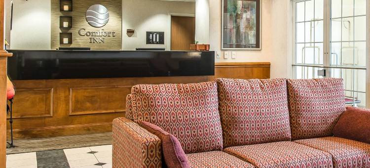 切尔西舒适酒店(Comfort Inn)图片