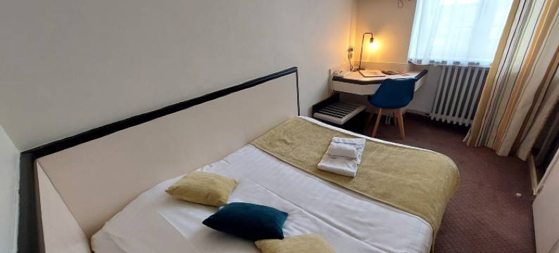 雄狮酒店(Logis Hôtels - Hôtel et Restaurant le Lion d'Or)图片