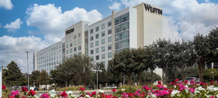 奥斯汀多门威斯汀酒店(The Westin Austin at the Domain)图片