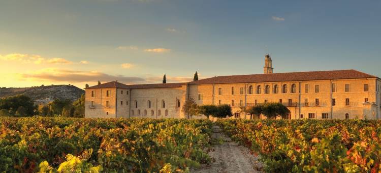 阿巴迪亚雷图尔塔勒多敏酒店(Abadia Retuerta LeDomaine)图片