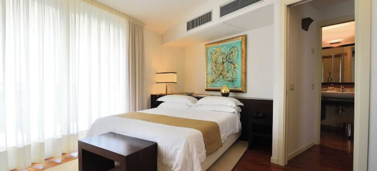 伊登岩石度假酒店(Eden Rock Resort)图片