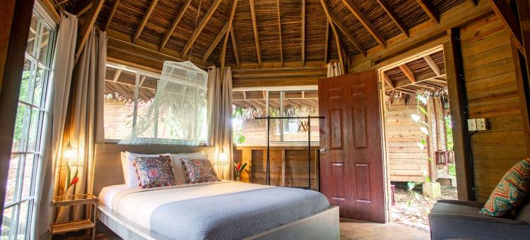 红蛙社交酒店(Socialtel Red Frog - Formerly Selina Red Frog)图片