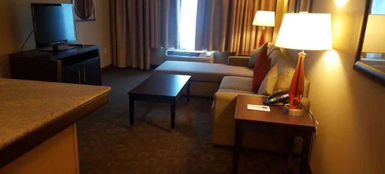 Crowne Plaza 休斯顿广场区(Crowne Plaza HOUSTON GALLERIA AREA by IHG)图片