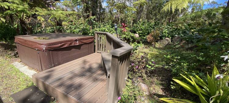 火山雨林旅馆(Volcano Rainforest Lodge)图片