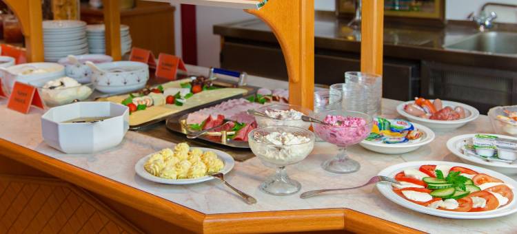 朗恩诺摩塔纳酒店(Hotel Montana Lauenau)图片