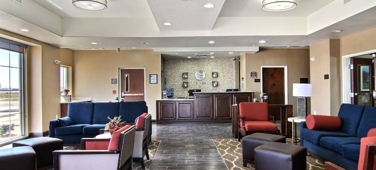 南米德兰I-20舒适酒店(Comfort Inn Midland South I-20)图片