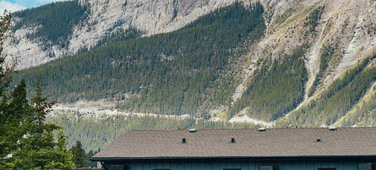 Lamphouse 基地营(Lamphouse by Basecamp)图片