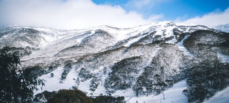 纯洁木屋(Pure Chalet Thredbo)图片
