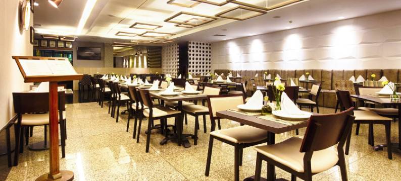 波旁贝洛奥里藏特阿丰索佩纳商务酒店(Bourbon Belo Horizonte Savassi)图片