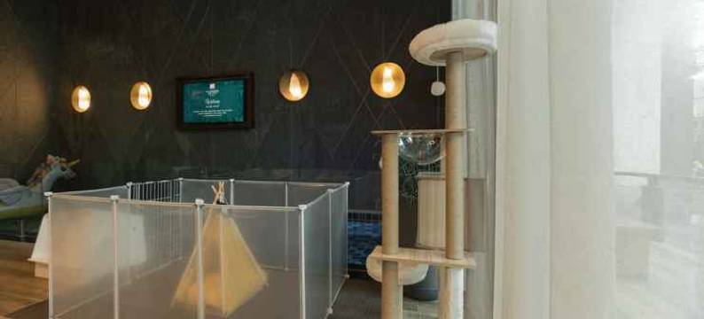 芭堤雅La Miniera泳池别墅-世界小型豪华酒店(La Miniera Pool Villas Pattaya - Small Luxury Hotels of the World)图片