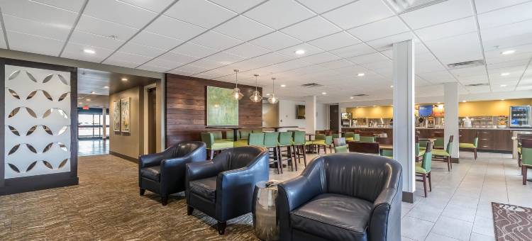 舒适套房酒店(Comfort Inn & Suites)图片