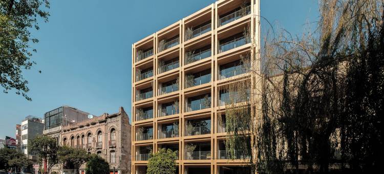 ONTO 阿尔瓦罗·奥夫雷贡墨西哥城(ONTO Alvaro Obregon Mexico City)图片