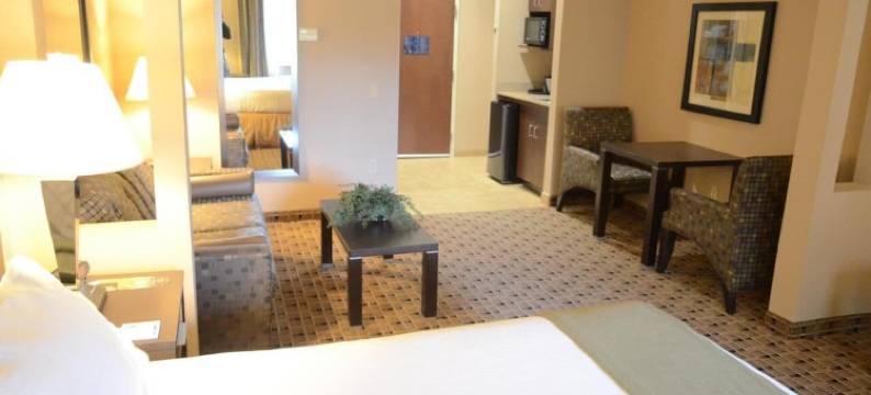 智选假日套房酒店休斯顿能源走廊 - W奥克斯(Aspen Grand Hotel Houston)图片