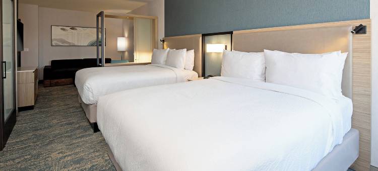 万豪Valencia SpringHill套房(SpringHill Suites Valencia)图片