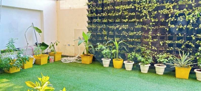 酸橙树豪华工作室(Lime Tree Luxury Studio - Service Apartment Near Artemis Hospital ,Gurgaon)图片