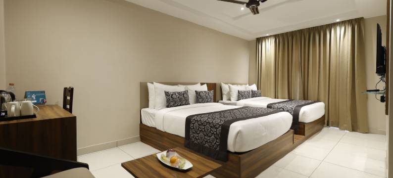 狮傲宾诺特卡努普斯迪卡(Pride Biznotel Canopus, Digha)图片