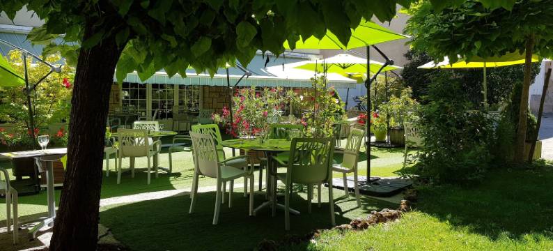 金狮酒店(Hotel le Lion d'Or)图片