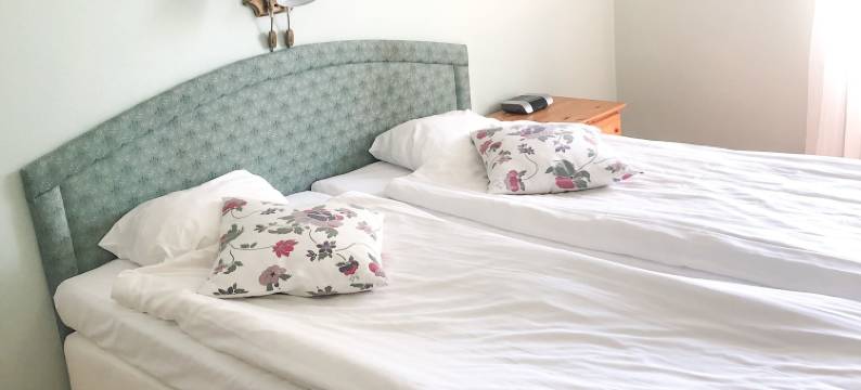 华布亚斯缇外瑞库德宾馆(Sjöbo Gästgifvaregård)图片