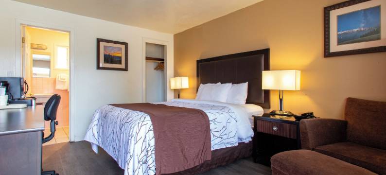 上城酒店(Uptown Inn)图片