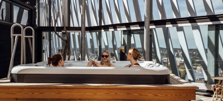 拉普兰酒店竞技场(Lapland Hotels Arena)图片