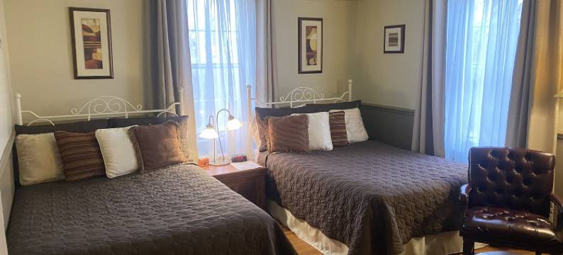 曼诺儿德拉鲁魅力酒店(Au Manoir de la rue Merry)图片