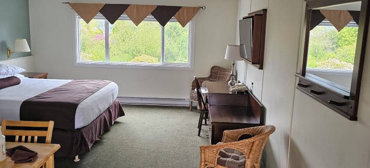 环太平洋汽车旅馆(Pacific Rim Motel)图片