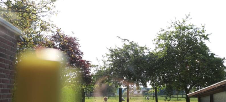 Haus Nachtigall旅馆及早餐(Hotel Haus Nachtigall - B&B)图片