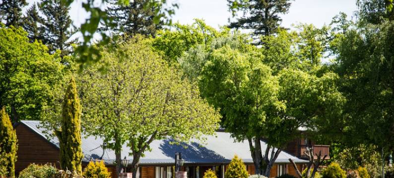 阿尔卑斯旅馆汽车旅馆(Alpine Lodge Motel)图片