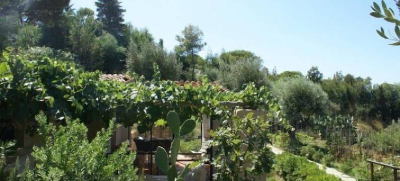 Berto的房子(Le Case di Berto)图片