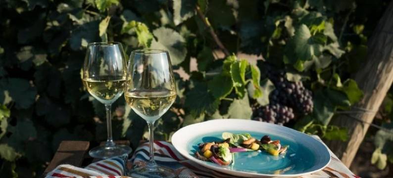 Is Cheas葡萄酒农场精品酒店(Is Cheas Wine Farm Boutique Hotel)图片