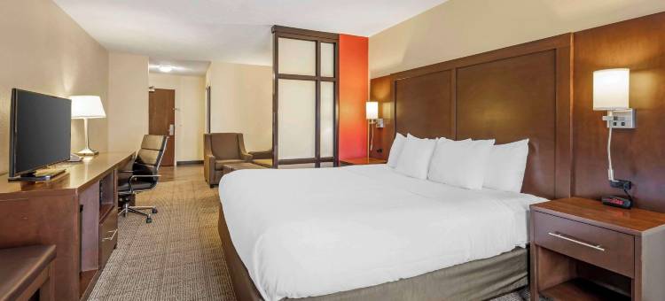 林肯东舒适套房酒店-购物区(Comfort Suites East Lincoln - Mall Area)图片