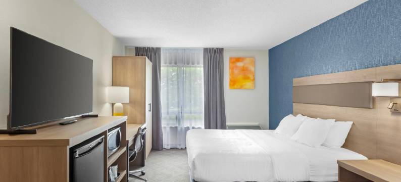 圣凯瑟琳尼亚加拉舒适酒店(Comfort Inn)图片