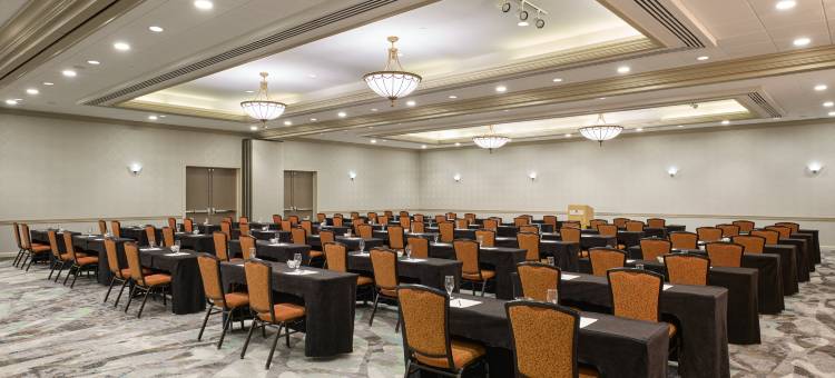 希尔顿逸林酒店双树明尼阿波利斯机场(DoubleTree by Hilton Minneapolis Airport)图片